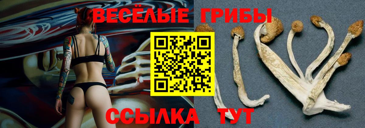 Псилоцибиновые грибы мицелий  Вход с VPN  Шадринск 
